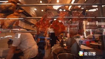 羽毛球运动员一天都在干吗?小编首次来揭秘